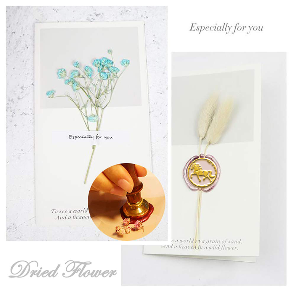 Delphin Kaninchen Biene Eule E – Wax Seal Stamp Set Bewertung und Preis
